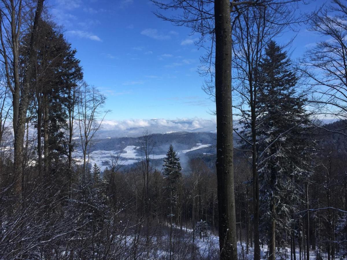 Villa Waldheimat Miltach Esterno foto